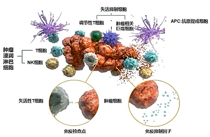 e52a73e1-d2b3-4b50-a927-8fa41f546cbc.png