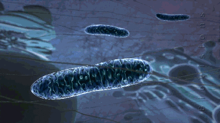 3.gif